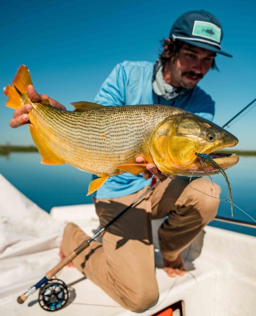 golden dorado dorado golden freshwater dorado fishing for golden dorado golden dorado fish golden dorado fly fishing golden dorado argentina argentina dorado fish dorado fish argentina dorado fish freshwater golden dorado for sale argentina golden dorado fishing fish golden dorado golden dorado fish argentina argentina dorado dorado argentina dorado fly fishing golden dorado fishing trips dorado fly dorado on the fly dorado river fish golden dorado river cruiser dorado argentina fish golden dorado fish for sale golden dorado fishing buenos aires golden dorado size golden el dorado fish best dorado fishing in argentina dorado fishing in buenos aires dorado fly fishing argentina dorado fly fishing in argentina fly fishing for dorado in argentina golden dorado argentina fishing golden dorado cruiser golden dorado fish price golden dorado fly fishing argentina patagonia golden dorado