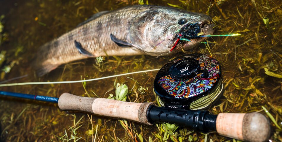 golden dorado dorado golden freshwater dorado fishing for golden dorado golden dorado fish golden dorado fly fishing golden dorado argentina argentina dorado fish dorado fish argentina dorado fish freshwater golden dorado for sale argentina golden dorado fishing fish golden dorado golden dorado fish argentina argentina dorado dorado argentina dorado fly fishing golden dorado fishing trips dorado fly dorado on the fly dorado river fish golden dorado river cruiser dorado argentina fish golden dorado fish for sale golden dorado fishing buenos aires golden dorado size golden el dorado fish best dorado fishing in argentina dorado fishing in buenos aires dorado fly fishing argentina dorado fly fishing in argentina fly fishing for dorado in argentina golden dorado argentina fishing golden dorado cruiser golden dorado fish price golden dorado fly fishing argentina patagonia golden dorado fly fishing buenos aires argentina