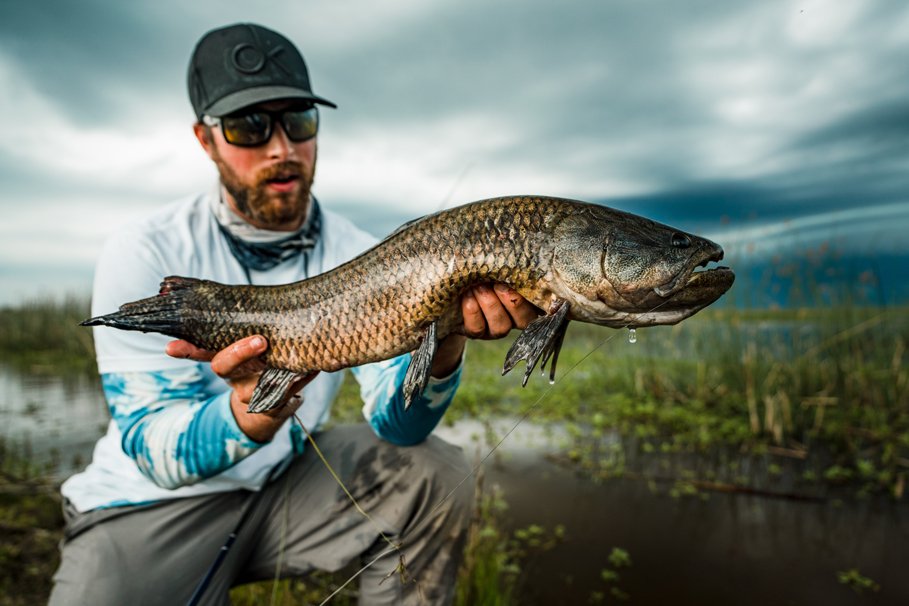 golden dorado dorado golden freshwater dorado fishing for golden dorado golden dorado fish golden dorado fly fishing golden dorado argentina argentina dorado fish dorado fish argentina dorado fish freshwater golden dorado for sale argentina golden dorado fishing fish golden dorado golden dorado fish argentina argentina dorado dorado argentina dorado fly fishing golden dorado fishing trips dorado fly dorado on the fly dorado river fish golden dorado river cruiser dorado argentina fish golden dorado fish for sale golden dorado fishing buenos aires golden dorado size golden el dorado fish best dorado fishing in argentina dorado fishing in buenos aires dorado fly fishing argentina dorado fly fishing in argentina fly fishing for dorado in argentina golden dorado argentina fishing golden dorado cruiser golden dorado fish price golden dorado fly fishing argentina patagonia golden dorado fly fishing buenos aires argentina