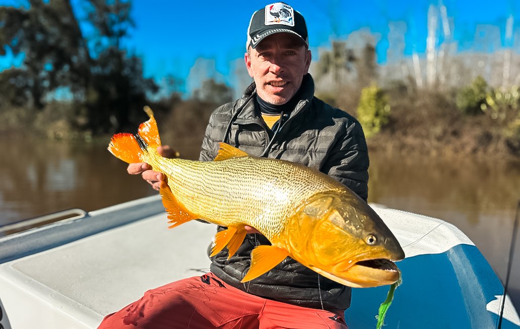 golden dorado dorado golden freshwater dorado fishing for golden dorado golden dorado fish golden dorado fly fishing golden dorado argentina argentina dorado fish dorado fish argentina dorado fish freshwater golden dorado for sale argentina golden dorado fishing fish golden dorado golden dorado fish argentina argentina dorado dorado argentina dorado fly fishing golden dorado fishing trips dorado fly dorado on the fly dorado river fish golden dorado river cruiser dorado argentina fish golden dorado fish for sale golden dorado fishing buenos aires golden dorado size golden el dorado fish best dorado fishing in argentina dorado fishing in buenos aires dorado fly fishing argentina dorado fly fishing in argentina fly fishing for dorado in argentina golden dorado argentina fishing golden dorado cruiser golden dorado fish price golden dorado fly fishing argentina patagonia golden dorado fly fishing buenos aires argentina