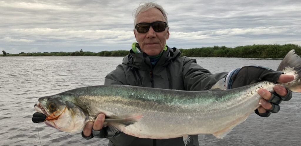 golden dorado dorado golden freshwater dorado fishing for golden dorado golden dorado fish golden dorado fly fishing golden dorado argentina argentina dorado fish dorado fish argentina dorado fish freshwater golden dorado for sale argentina golden dorado fishing fish golden dorado golden dorado fish argentina argentina dorado dorado argentina dorado fly fishing golden dorado fishing trips dorado fly dorado on the fly dorado river fish golden dorado river cruiser dorado argentina fish golden dorado fish for sale golden dorado fishing buenos aires golden dorado size golden el dorado fish best dorado fishing in argentina dorado fishing in buenos aires dorado fly fishing argentina dorado fly fishing in argentina fly fishing for dorado in argentina golden dorado argentina fishing golden dorado cruiser golden dorado fish price golden dorado fly fishing argentina patagonia golden dorado