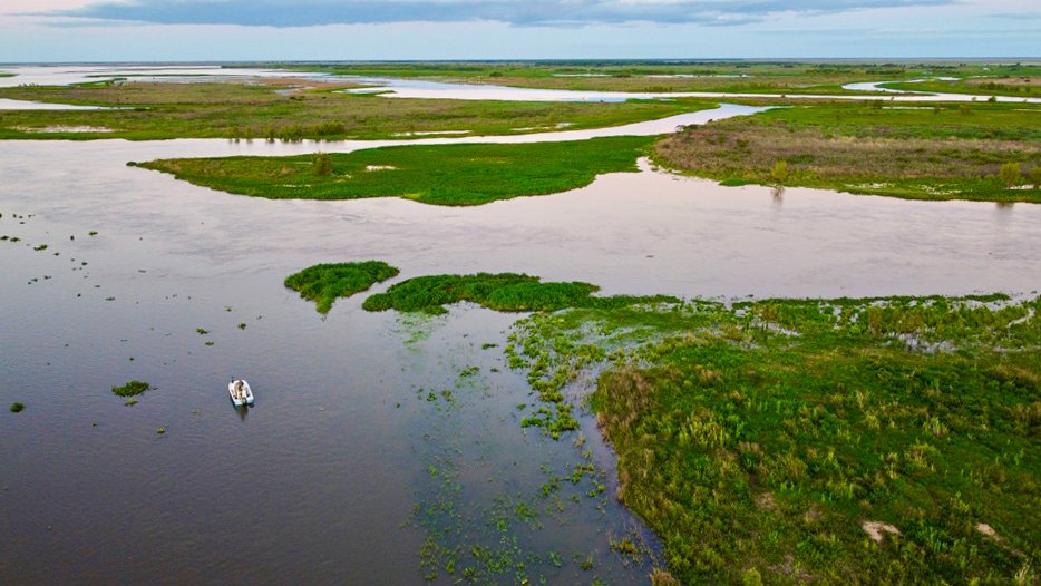 golden dorado dorado golden freshwater dorado fishing for golden dorado golden dorado fish golden dorado fly fishing golden dorado argentina argentina dorado fish dorado fish argentina dorado fish freshwater golden dorado for sale argentina golden dorado fishing fish golden dorado golden dorado fish argentina argentina dorado dorado argentina dorado fly fishing golden dorado fishing trips dorado fly dorado on the fly dorado river fish golden dorado river cruiser dorado argentina fish golden dorado fish for sale golden dorado fishing buenos aires golden dorado size golden el dorado fish best dorado fishing in argentina dorado fishing in buenos aires dorado fly fishing argentina dorado fly fishing in argentina fly fishing for dorado in argentina golden dorado argentina fishing golden dorado cruiser golden dorado fish price golden dorado fly fishing argentina patagonia golden dorado